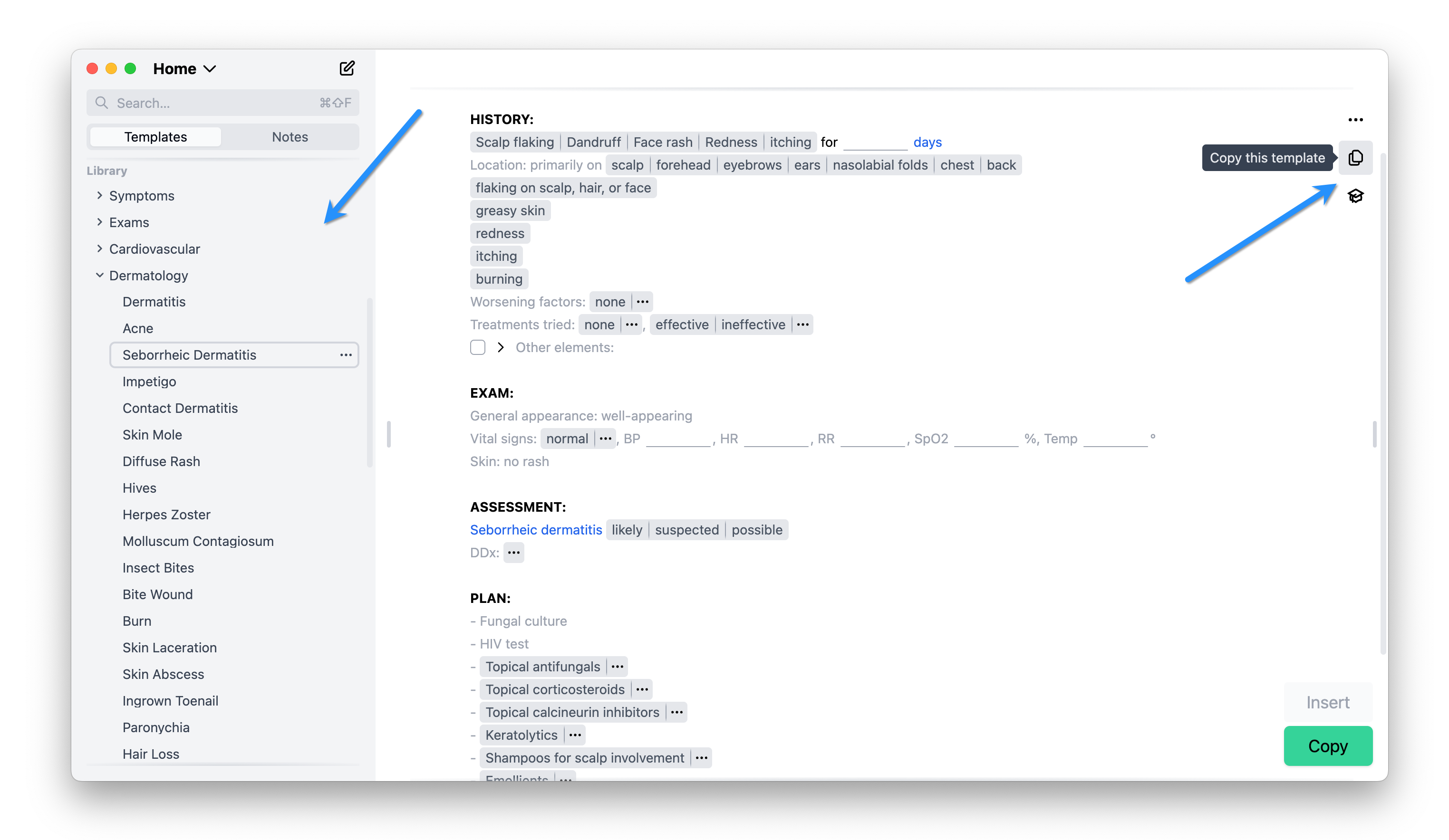 Copy this template button in Dilato